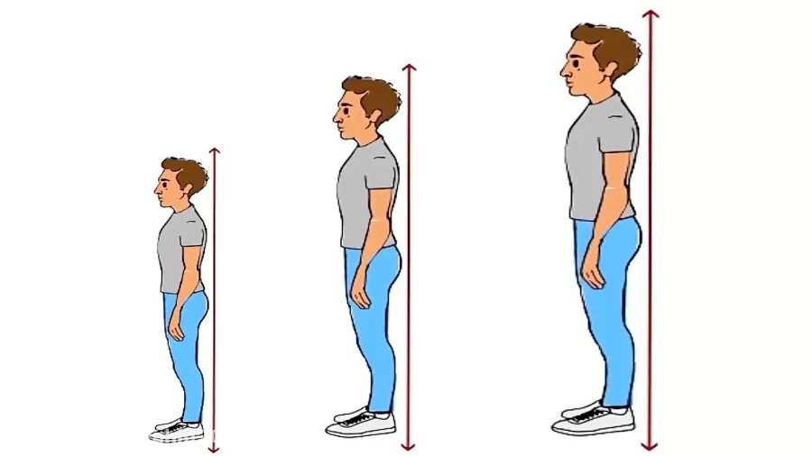چطور قد خود را بلند کنیم: