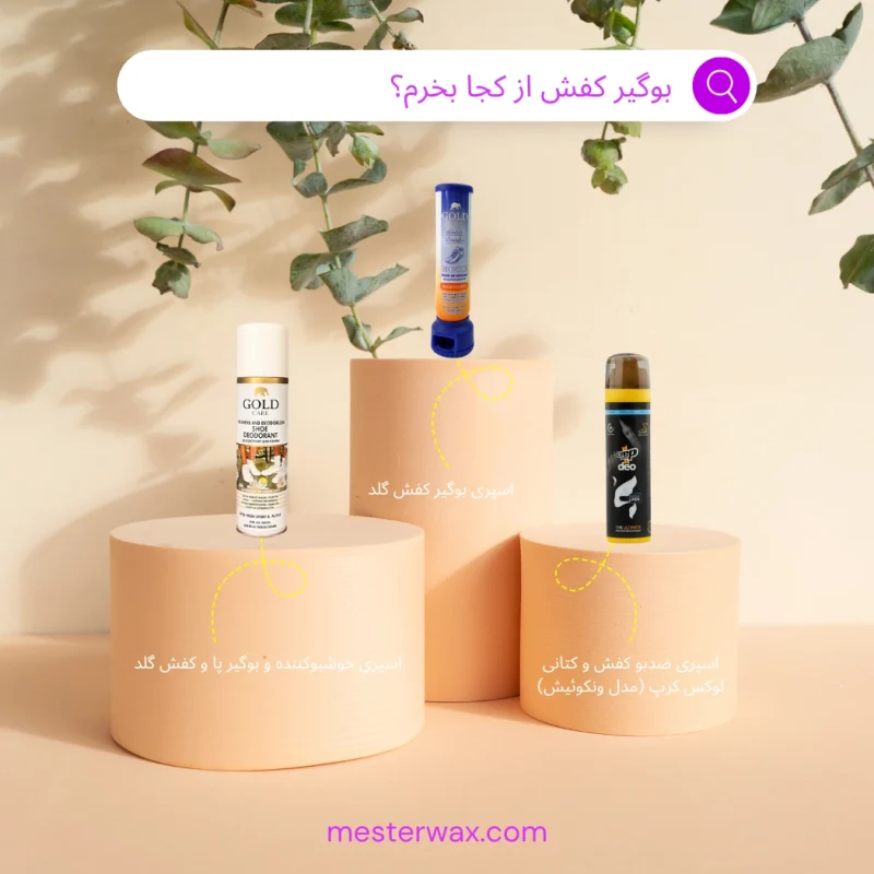 راهمای خرید انواع بوگیر کفش